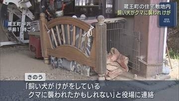 住宅の敷地で飼い犬がクマに襲われけが　宮城・蔵王町