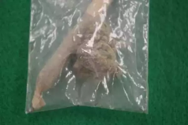 【速報】仙台市内の中学3年生の男子生徒（15）　自宅内で乾燥大麻と大麻たばこを所持した疑いで逮捕