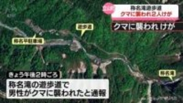 称名滝の遊歩道でクマに襲われ男女２人けが　人身被害は今年２件目
