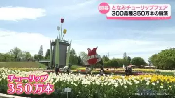 「こんなにすごいと思ってなかった！」となみチューリップフェア開幕　300品種350万本が春を彩る