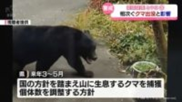 県内の出来事を振り返る【2025とやま】クマの出没1000件超　影響は
