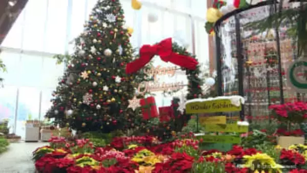 クリスマスをテーマにした展示　砺波市のチューリップ四季彩館