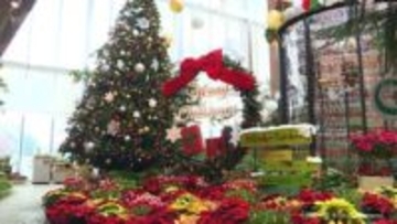 クリスマスをテーマにした展示　砺波市のチューリップ四季彩館