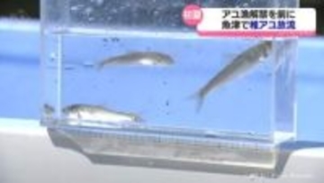 「アユがたくさんとれるように」魚津市の２つの河川で稚アユを放流