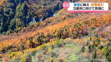 雲上の秋　北アルプス立山に広がる紅葉のじゅうたん　富山県