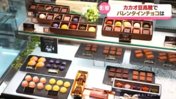 カカオ豆が高騰　今年のバレンタインは洋菓子店に“甘くない”　富山