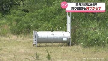黒部川河口付近のクマ　いまだ捕獲に至らず　黒部市と入善町が警戒続ける
