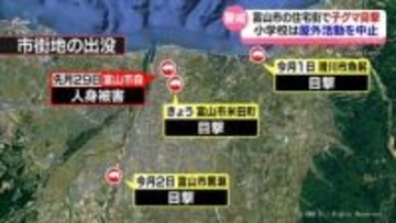富山市の住宅街で子グマの目撃情報　小学校は屋外練習を中止