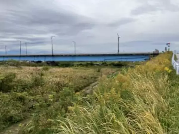 神通川河口周辺でクマの足跡　富山市では今シーズン最も下流域での確認　クマの活動エリア拡大に警戒を