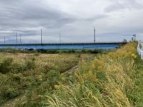 神通川河口周辺でクマの足跡　富山市では今シーズン最も下流域での確認　クマの活動エリア拡大に警戒を