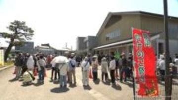 「シャキシャキおいしい」朝掘りタケノコを求めて長い列　射水市黒河で祭り