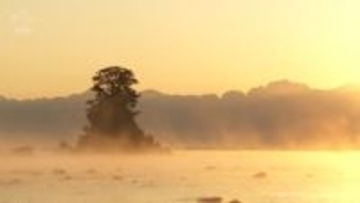 県内各地で今シーズン一番の冷え込み　雨晴海岸に「けあらし」