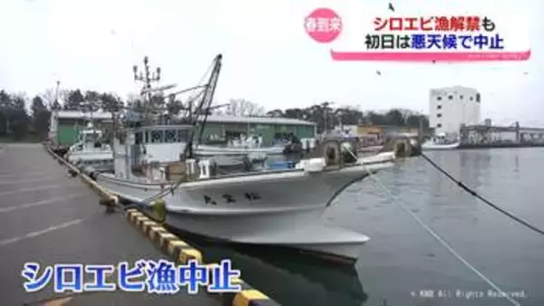 富山湾に春の訪れを告げるシロエビ漁　解禁日は悪天候で中止