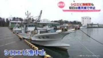 富山湾に春の訪れを告げるシロエビ漁　解禁日は悪天候で中止