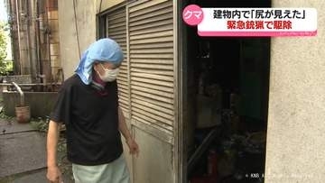 建物の中にクマ「尻が半分見えたから閉じ込めた」　立山町中心部で緊急銃猟