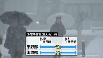 富山県内は雪が降り続く　交通機関に乱れ　万葉線脱線も