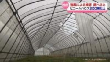 【４日の強風】ビニールハウス200棟以上に被害　富山県内