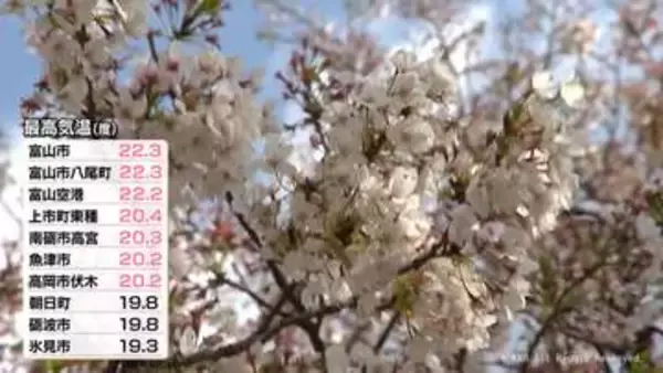 ７観測地点で最高気温２０度超え　過ごしやすい１日に　富山県内