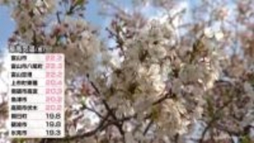 ７観測地点で最高気温２０度超え　過ごしやすい１日に　富山県内