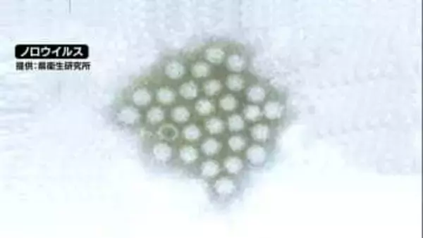 高岡市内の飲食店で26人がノロウイルスによる食中毒