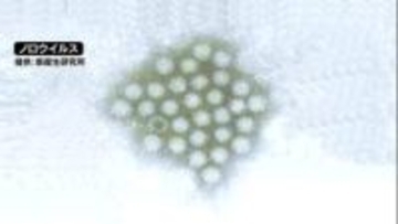 高岡市内の飲食店で26人がノロウイルスによる食中毒