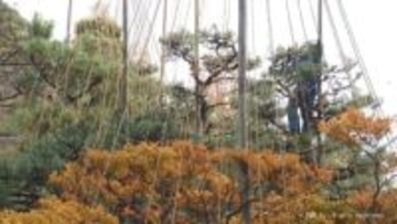 冬支度進んだ雨の県内　あす夜遅くから大気の状態が不安定に