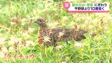 雲上の別天地　夏山シーズン迎えた立山室堂　ライチョウの姿も　富山県
