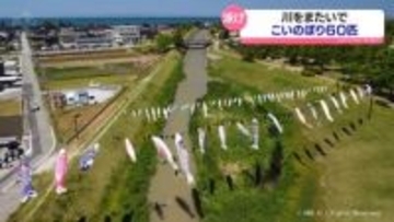 黒部市の高橋川　こいのぼり60匹泳ぐ