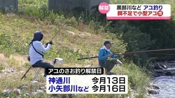 黒部川や庄川でアユ釣り解禁　ことしは小ぶり？