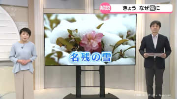 春なのに　富山県内では広く雪が降る　まだまだ注意を