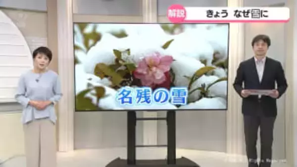 春なのに　富山県内では広く雪が降る　まだまだ注意を