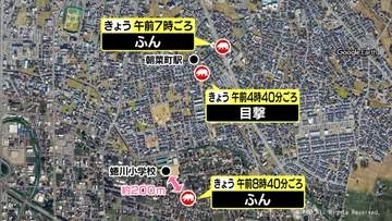 富山市の住宅街でクマの目撃相次ぐ　市の職員や猟友会がパトロール