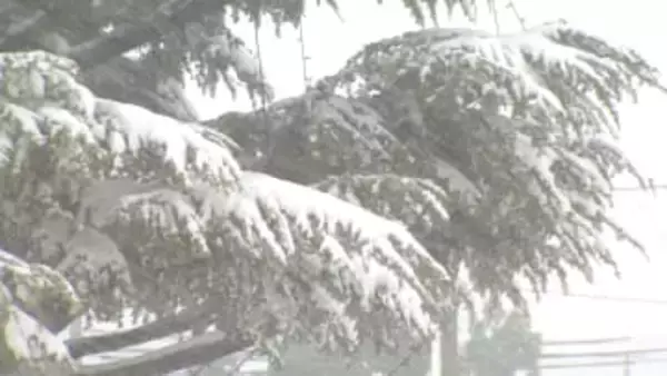 富山県内１１の市町村に大雪警報　交通機関に乱れ