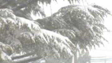 富山県内１１の市町村に大雪警報　交通機関に乱れ