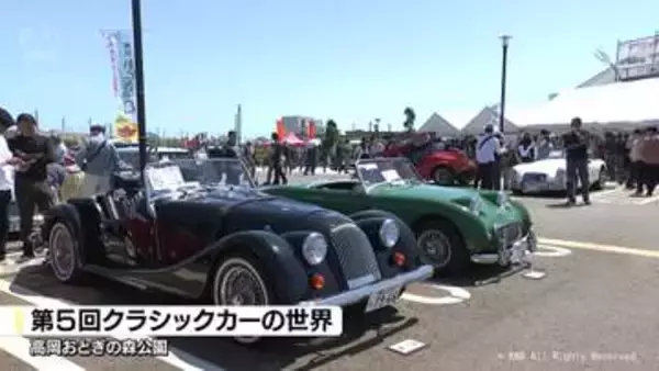 F1マシンやクラシックカーずらり　高岡おとぎの森公園