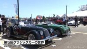 F1マシンやクラシックカーずらり　高岡おとぎの森公園
