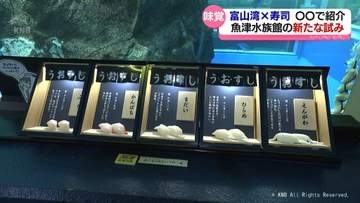 寿司といえば、富山だから「寿司ネタ見るなら、魚津水族館」！　新たな取り組み人気