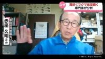 海沿い地域にクマなぜ？専門家に聞く