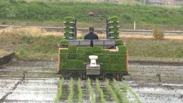 好天続き　主力品種コシヒカリの田植え進む　富山県内