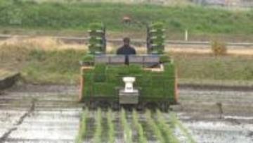 好天続き　主力品種コシヒカリの田植え進む　富山県内
