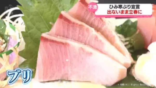 寒ぶり宣言ないまま…立春迎える　漁獲量も少なく　氷見漁港