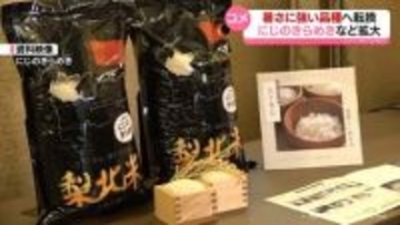 猛暑に挑むコメ作り　暑さに強い品種「にじのきらめき」など作付け拡大