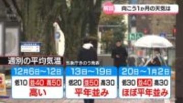 教えて気象予報士　年末年始の寒さは？雪は？　向こう１か月の天気予報