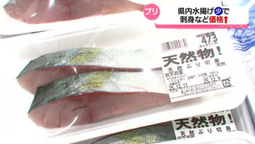 寒ブリの水揚げ少なく店頭価格が上昇　例年の「２倍から３倍」