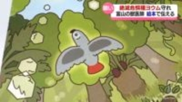 絶滅危惧種ヨウムを守れ　絵本に込めた願い　富山市ファミリーパークの獣医師