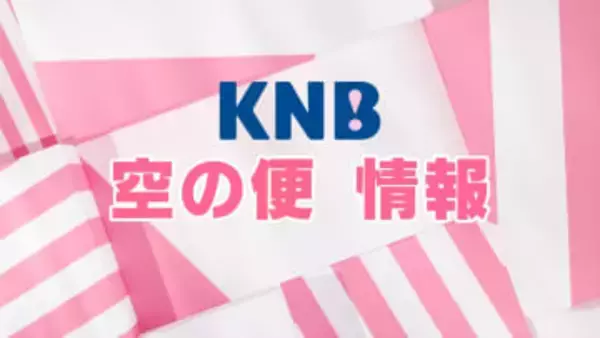 富山空港発着便も　エアバスのソフト改修で全日空機遅延・欠航