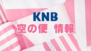 富山空港発着便も　エアバスのソフト改修で全日空機遅延・欠航