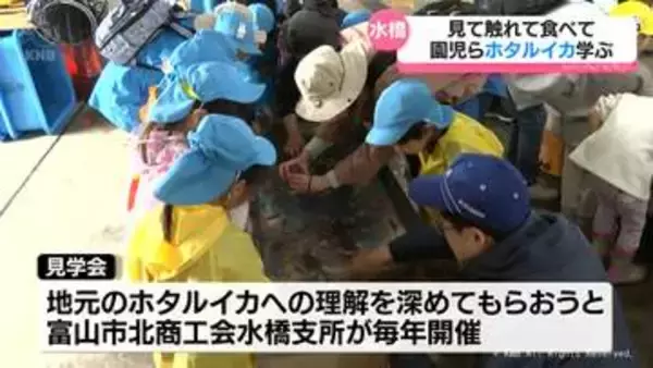 何匹食べたい？100匹！　地元のホタルイカを見て触って味わって　富山市水橋で園児ら