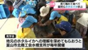 何匹食べたい？100匹！　地元のホタルイカを見て触って味わって　富山市水橋で園児ら