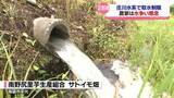 「庄川水系の取水制限　上流の御母衣ダム（岐阜県）は？下流ではコメや特産のサトイモへの影響懸念　富山県砺波市・南砺市」の画像1